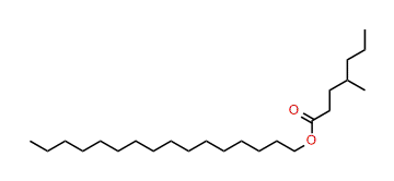 Hexadecyl 4-methylheptanoate